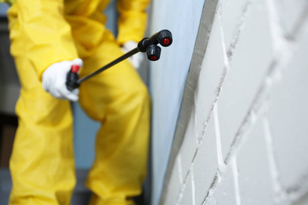 Best Pest Control for Multi-Family Homes  in Island Park, NY